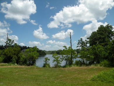 Great new home site on the lake - photo 17
