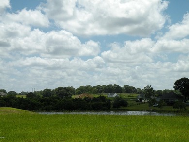 Great new home site on the lake - photo 19