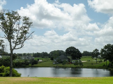 Great new home site on the lake - photo 22