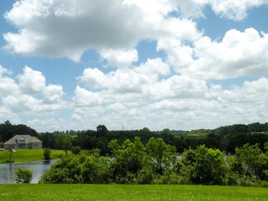 Great new home site on the lake - photo 23