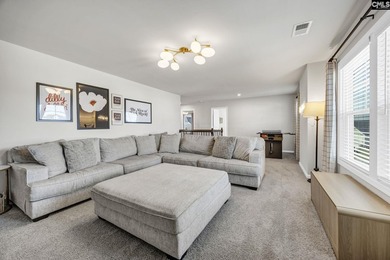 Welcome to 209 Chapin Place Way, a beautifully appointed - photo 27