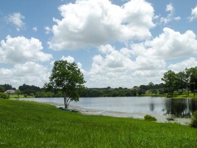 Great new home site on the lake - photo 29