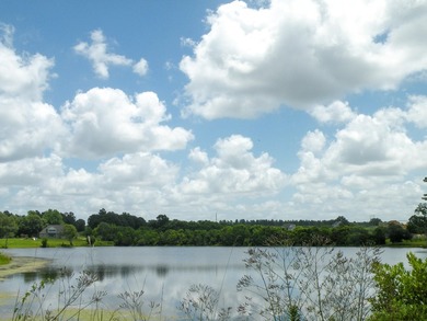 Great new home site on the lake - photo 32
