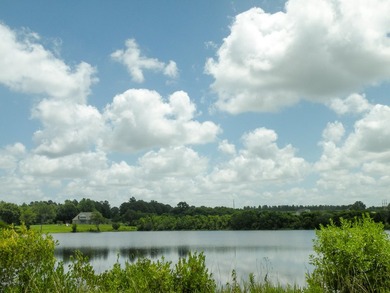 Great new home site on the lake - photo 33