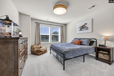 Welcome to 209 Chapin Place Way, a beautifully appointed - photo 35