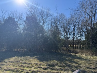 Peaceful 1+ Acre Lot in Gated Lake Subdivision - photo 18