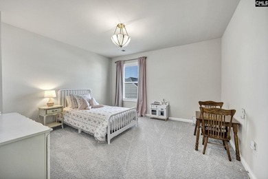 Welcome to 209 Chapin Place Way, a beautifully appointed - photo 38