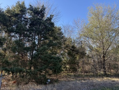 Peaceful 1+ Acre Lot in Gated Lake Subdivision - photo 23