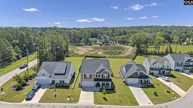 Welcome to 209 Chapin Place Way, a beautifully appointed - photo 48