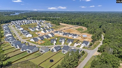 Welcome to 209 Chapin Place Way, a beautifully appointed - photo 49