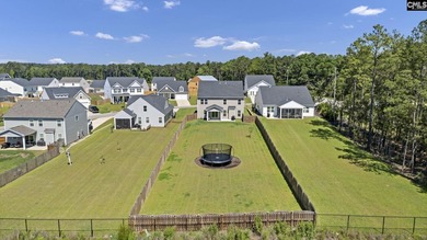 Welcome to 209 Chapin Place Way, a beautifully appointed - photo 50
