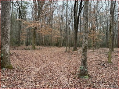 Lake Acreage For Sale in Northport, Alabama