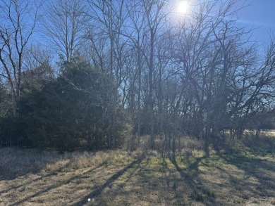 Peaceful 1+ Acre Lot in Gated Lake Subdivision - photo 16