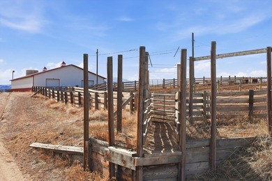 Located in the heart of the Deer Lodge Valley, this exceptional - photo 14