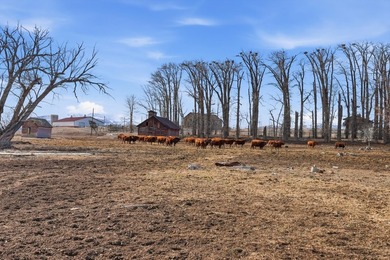 Located in the heart of the Deer Lodge Valley, this exceptional - photo 15