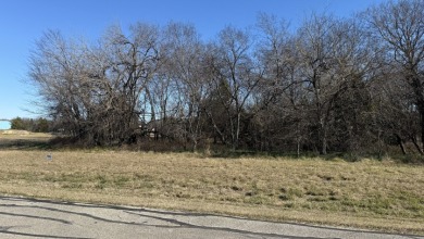 Peaceful 1+ Acre Lot in Gated Lake Subdivision - photo 10