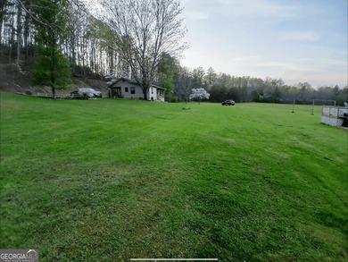 MINI FARM AND MORE... You might find a house that has a few more - photo 33