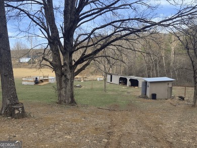 MINI FARM AND MORE... You might find a house that has a few more - photo 36