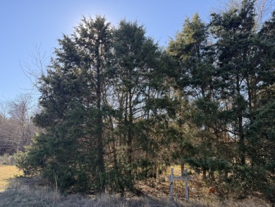 Peaceful 1+ Acre Lot in Gated Lake Subdivision - photo 20