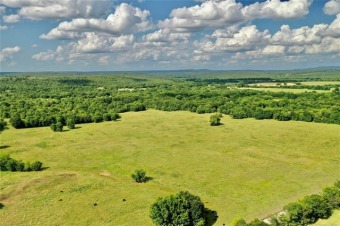 GORGEOUS PIECE OF LAND RICH IN HISTORY AND POSSIBILITIES!  - Lake Acreage For Sale in Quinton, Oklahoma