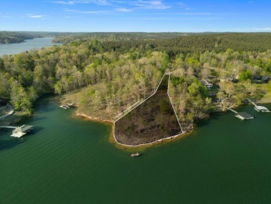 Lot 94 in Sipsey pines is on the main channel and one of few - photo 13