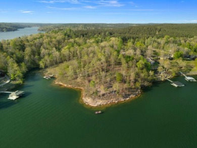 Lot 94 in Sipsey pines is on the main channel and one of few - photo 14