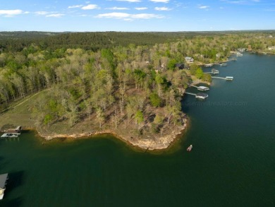 Lot 94 in Sipsey pines is on the main channel and one of few - photo 15