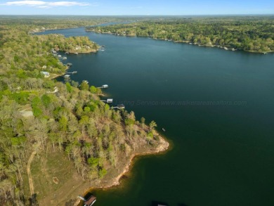 Lot 94 in Sipsey pines is on the main channel and one of few - photo 17