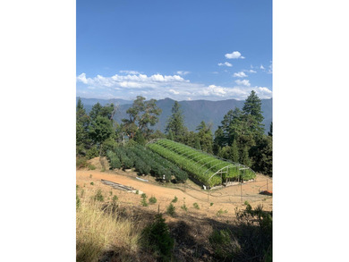 (private lake, pond, creek) Acreage For Sale in Willow Creek California