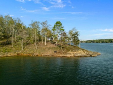 Lot 94 in Sipsey pines is on the main channel and one of few - photo 22