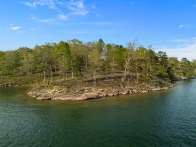 Lot 94 in Sipsey pines is on the main channel and one of few - photo 23
