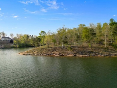 Lot 94 in Sipsey pines is on the main channel and one of few - photo 24