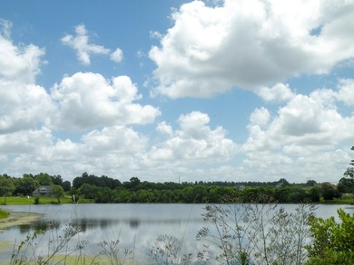 Great new home site on the lake. 1.40 - photo 32