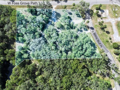 Withlacoochee River Lot For Sale in Inglis Florida