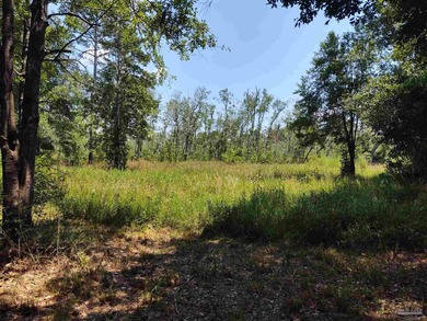 Blackwater River Acreage For Sale in Milton Florida