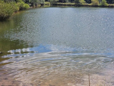 Lake Acreage For Sale in Ronceverte, West Virginia