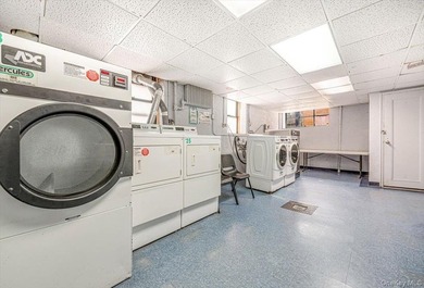 A Flexible Layout Your Pet Will Love Too at the Thurman Verona - photo 25
