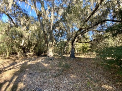 Lake Acreage For Sale in Madison County, Florida