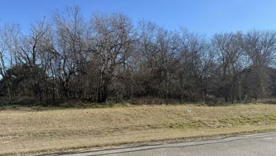 Peaceful 1+ Acre Lot in Gated Lake Subdivision - photo 12