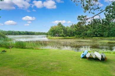 Thunder Bay Riverfront Haven - Atlanta, MI This stunning - photo 50