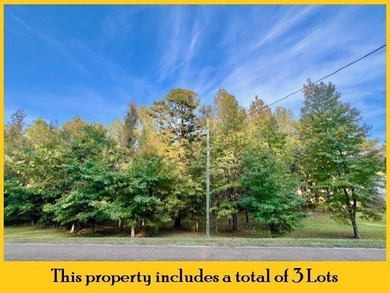 ENID LAKE! Located just 3 doors down from the entrance to - photo 5