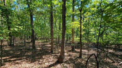 Lake Lot For Sale in Porto Cima, Missouri