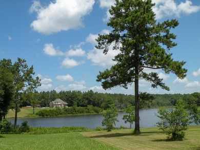 Great new home site with beautiful lake - photo 15
