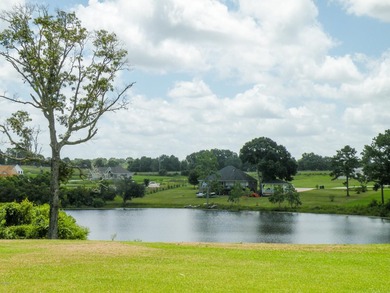 Great new home site with beautiful lake - photo 21