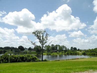 Great new home site with beautiful lake - photo 24