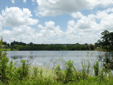 Great new home site with beautiful lake - photo 30