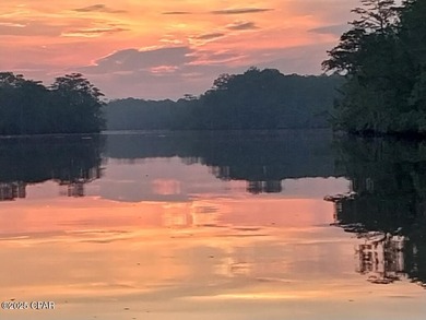 (private lake, pond, creek) Home For Sale in Ebro Florida