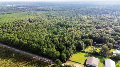 Lake Acreage For Sale in Wilmer, Alabama