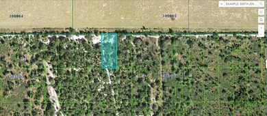 Lake Kissimmee Lot For Sale in Lake Wales Florida