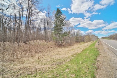 Discover the perfect Northwoods escape with this beautiful - photo 4